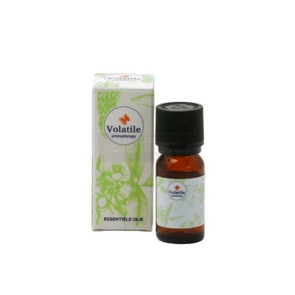 Anijs Ster CO2-select extract Bio - Trachyspermum Ammi 10 ml