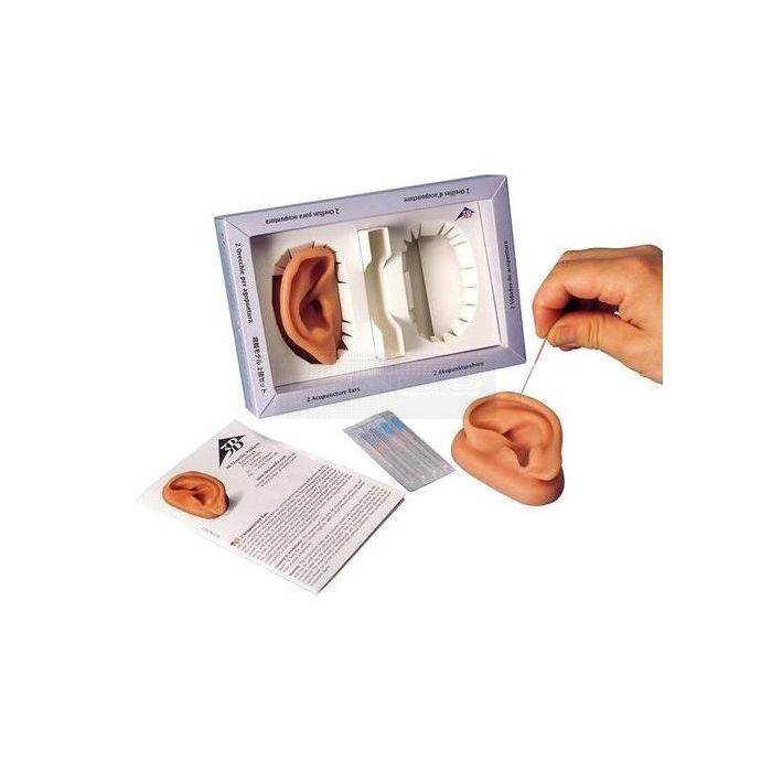 Acupunctuur trainings - oefen oren 9,5 cm x 6 cm x 4 cm à 2 stuks